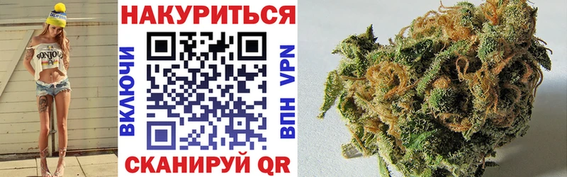 omg   где можно купить   Высоковск  Бошки марихуана марихуана 